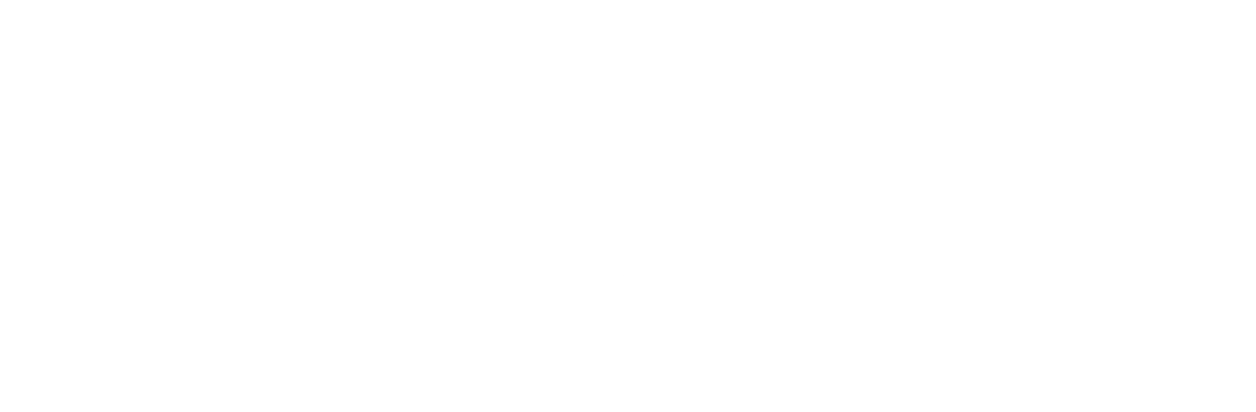 Kundenlogo_Otis